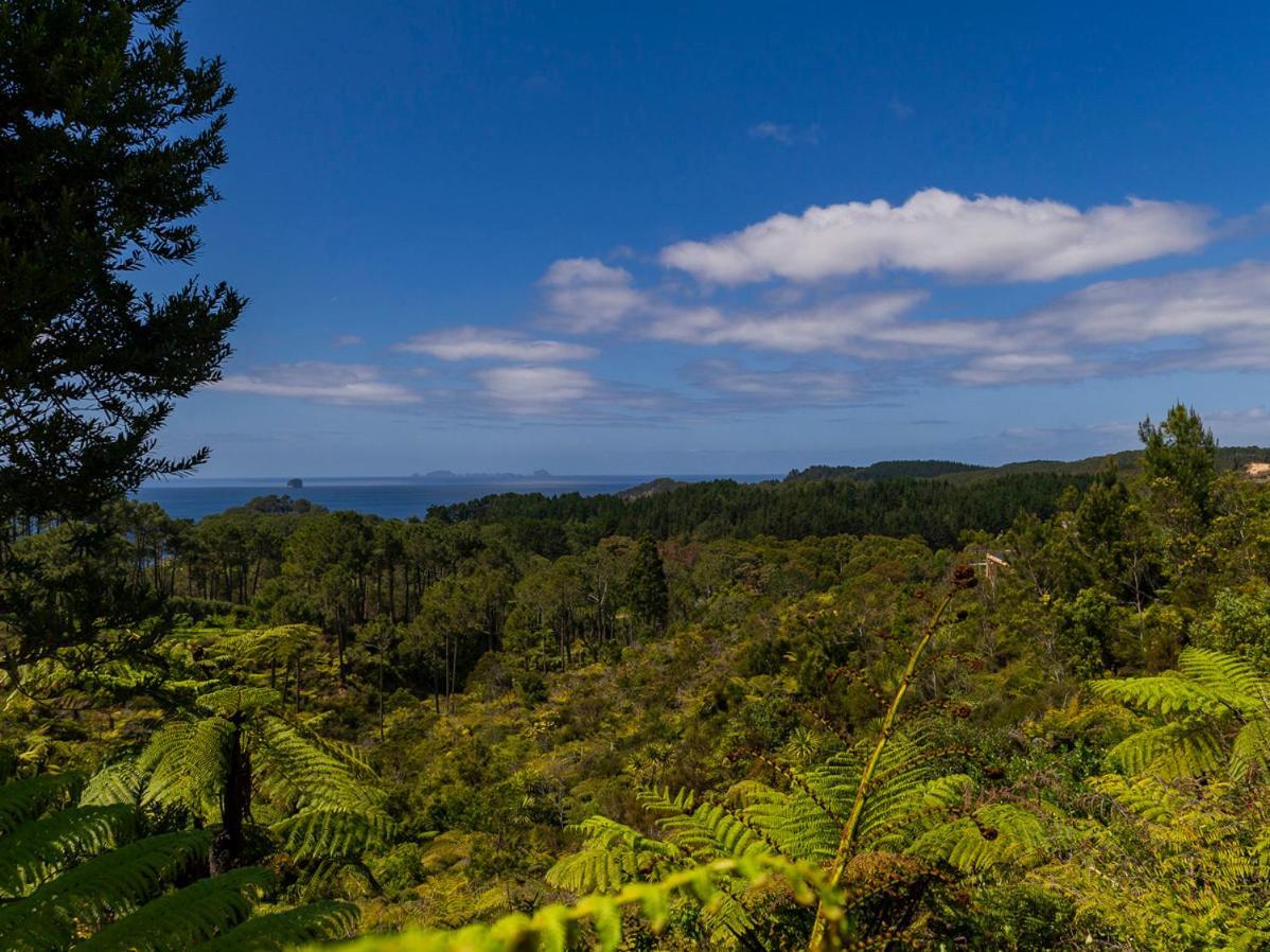 Hahei Hideaway - Hahei Holiday Home ภายนอก รูปภาพ